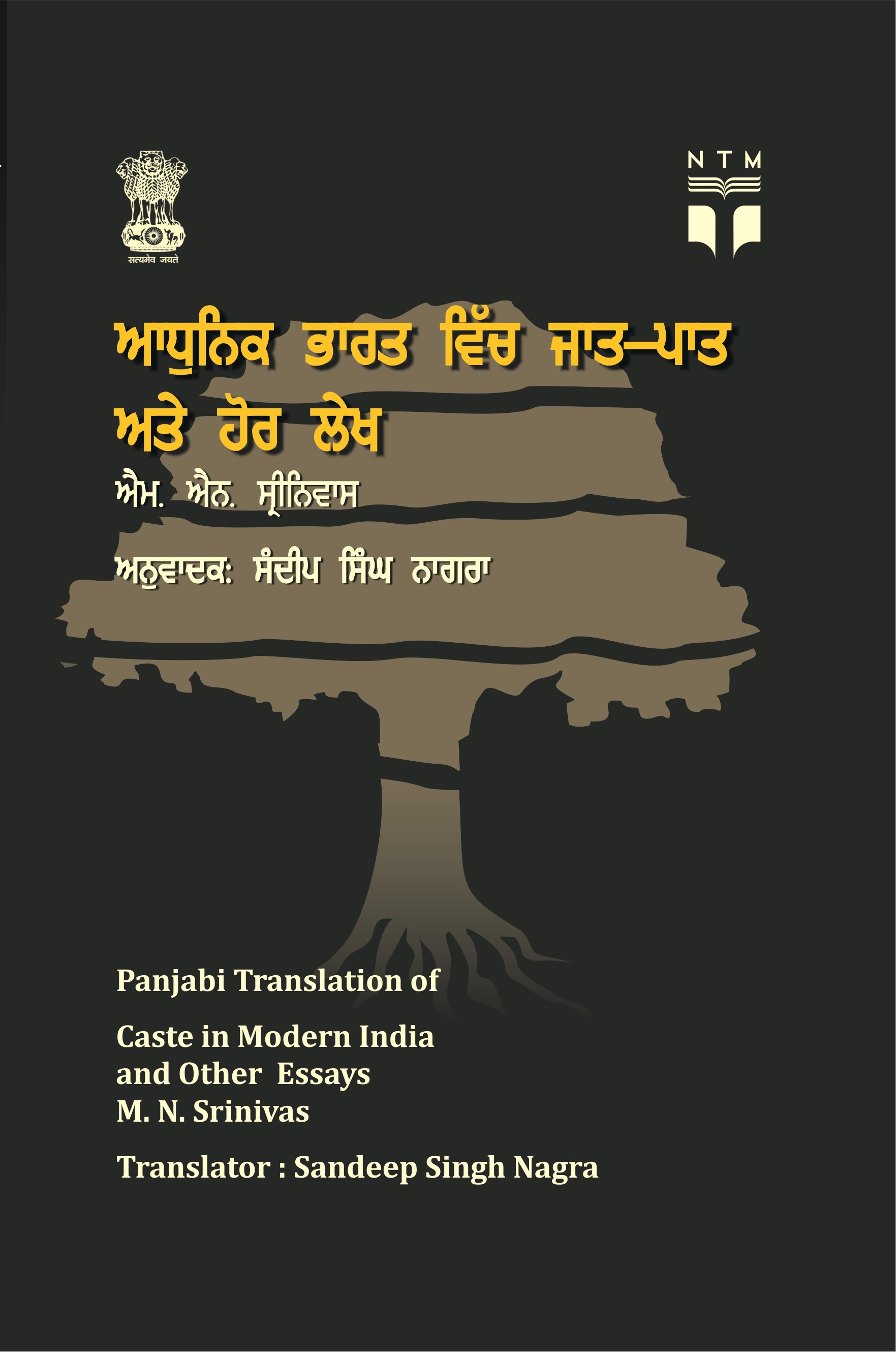 Caste in Modern India and Other Essays - Punjabi